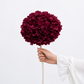Hand holding a large burgundy flower against a white background