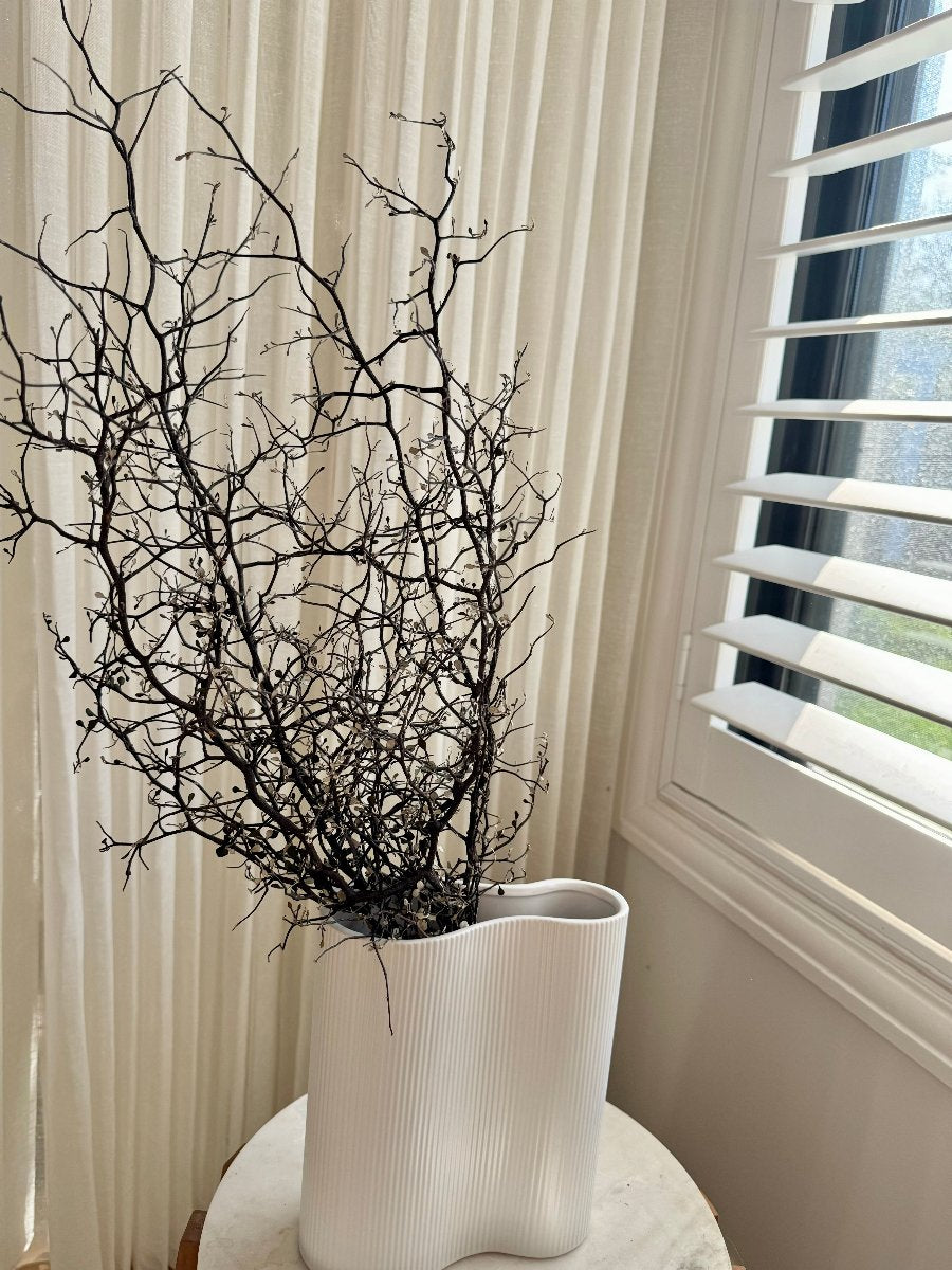 twigs near a window