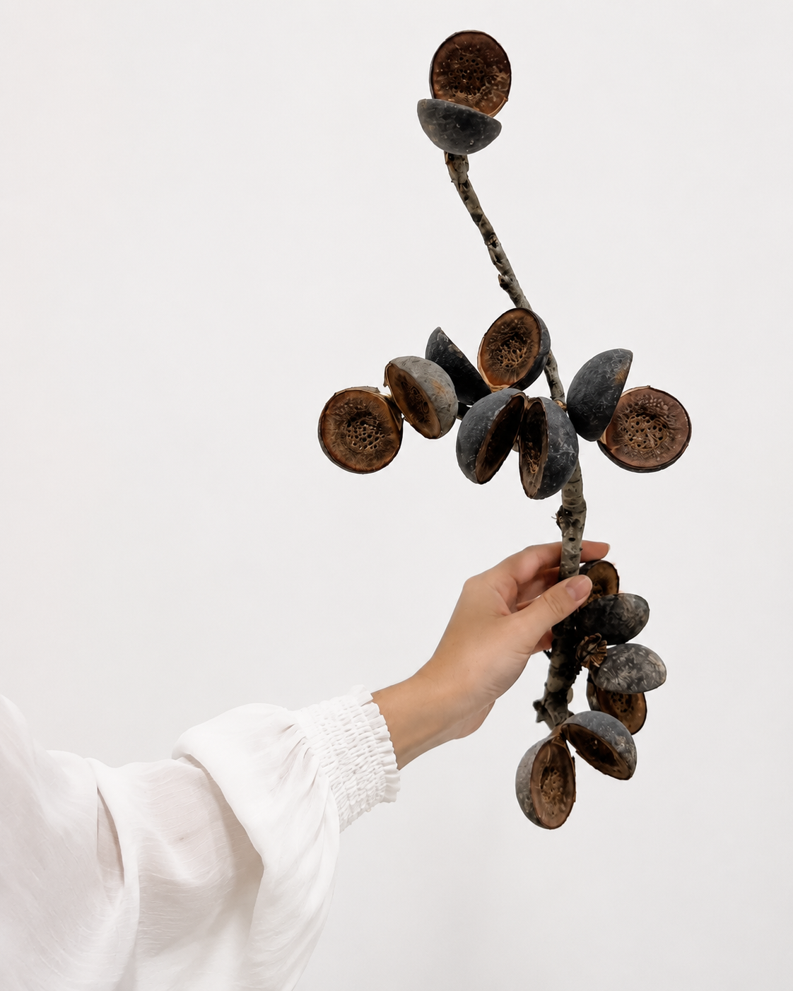 Hand holding a unique, dark brown decorative object against a white background