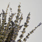 Close up of dried lavender flowers in a bunch