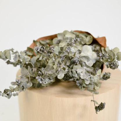 Dried eucalyptus
