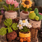 Plush teddy bear in pot with all 6 colour variants displayed together