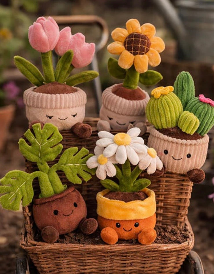 Plush teddy bear in pot with all 6 colour variants displayed together