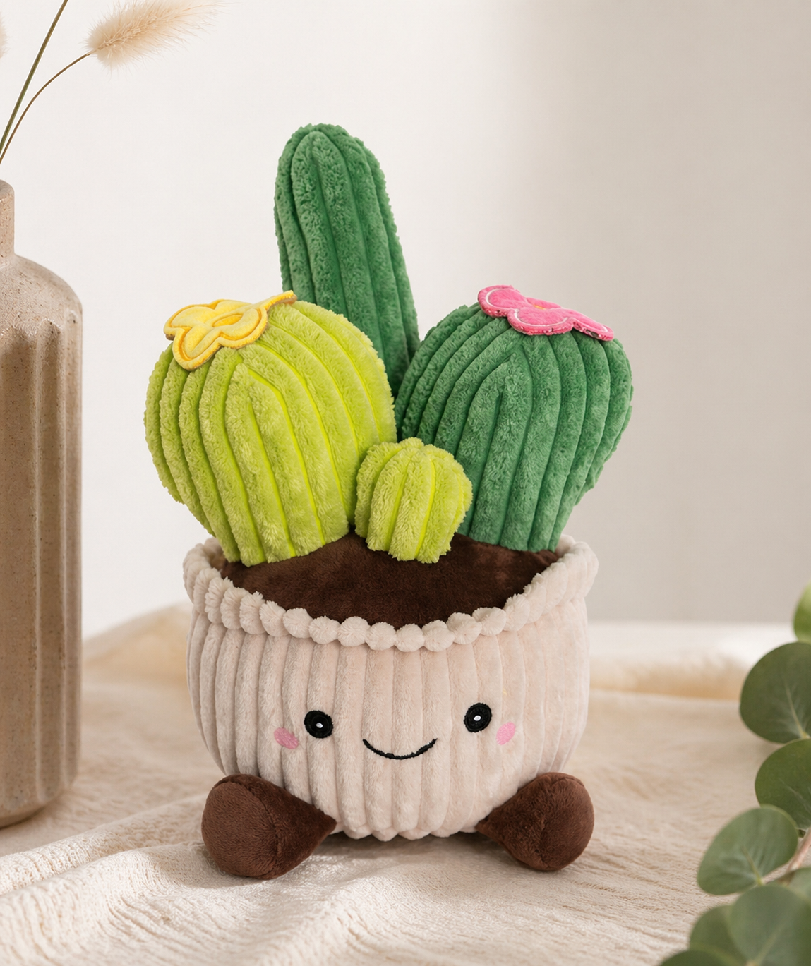 Floral teddy bear cactus green preserved flower gift