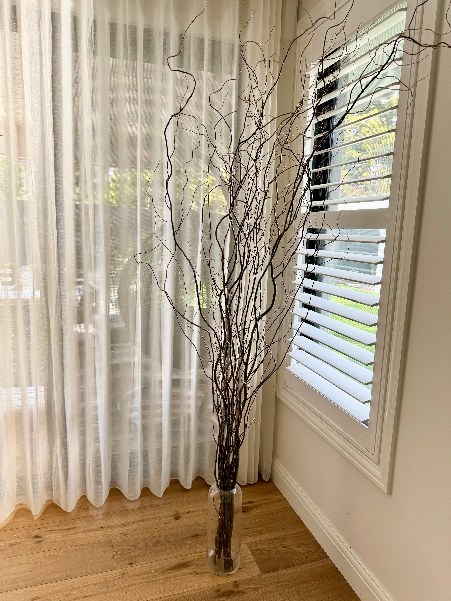 corner of the room with curly willow braches