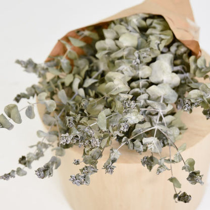 Dried eucalyptus