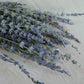 Detailed close up of dried lavender stems and purple flowers