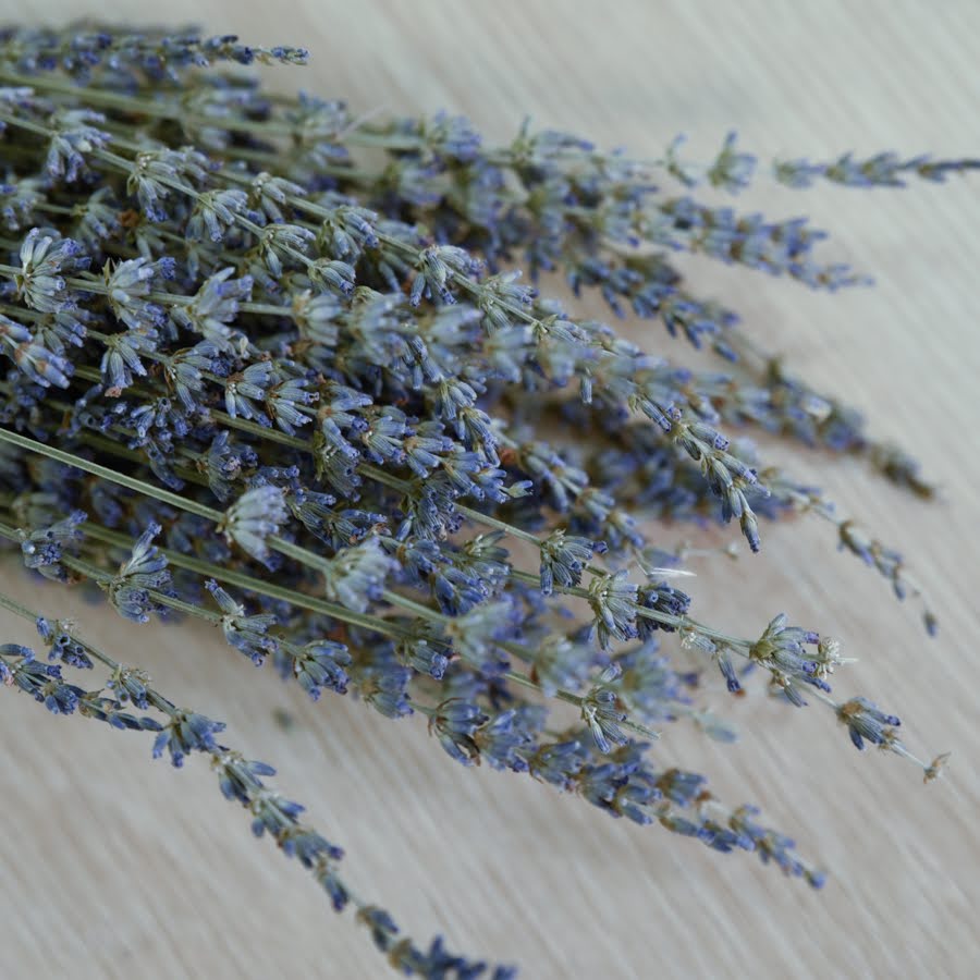 Detailed close up of dried lavender stems and purple flowers