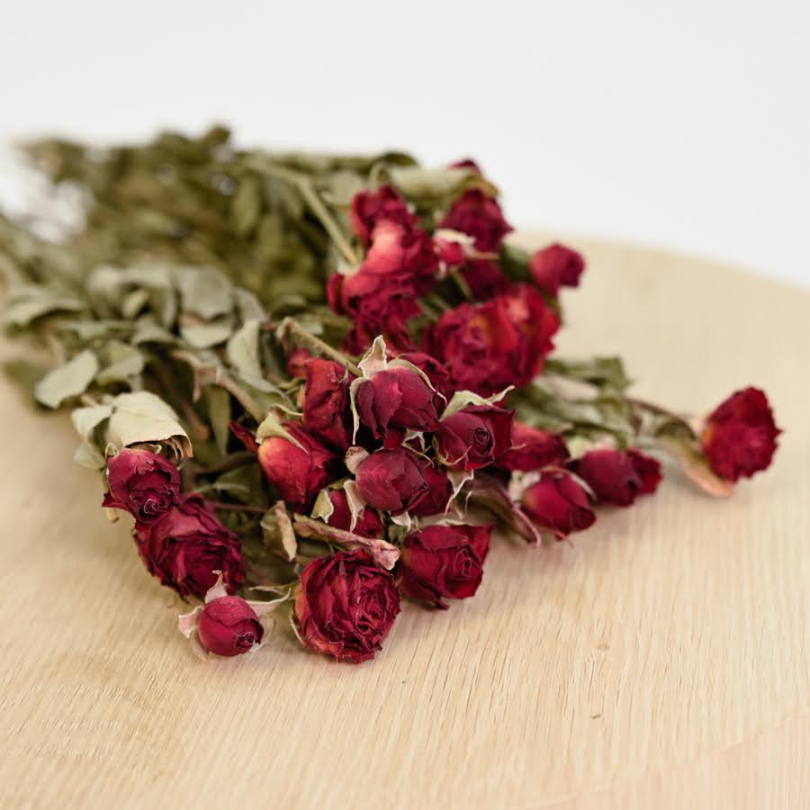 Dried Roses – Peach and Petals Dried Flowers