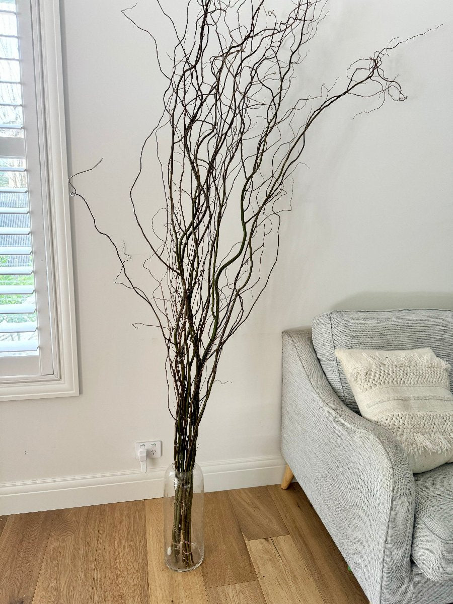 branches next to couch