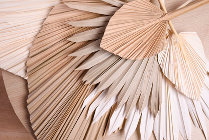 Dried Palm