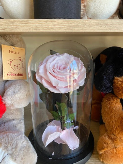 Pink Everlasting Dome Rose