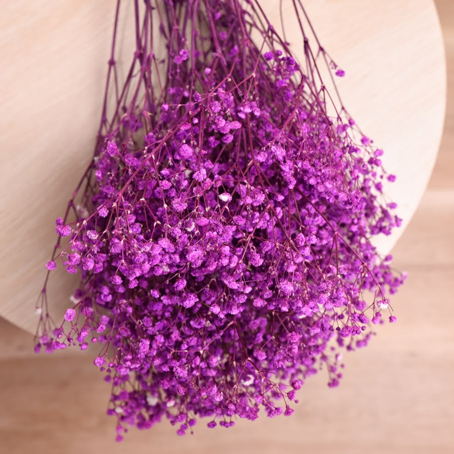 Bunch of preserved babys breath displayed on a light wooden back drop. The babys breath is dyed bright intense purple.