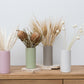 Dried flower stems in vases including wheat, banksia, mini pampas and wheat