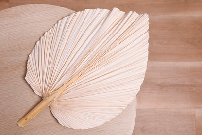 Dried Palms