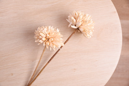 Handmade Magnolia