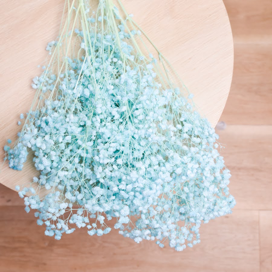 Bunch of preserved babys breath displayed on a light wooden back drop. The babys breath is dyed a soft baby blue.