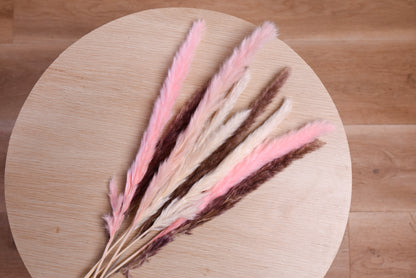 Mini Pampas