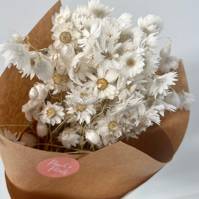 Dried Daisys