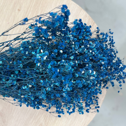 Dried baby breath flowers