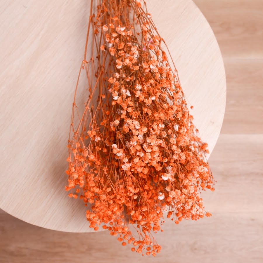 Bunch of preserved babys breath displayed on a light wooden back drop. The babys breath is dyed a soft burnt orange colour.