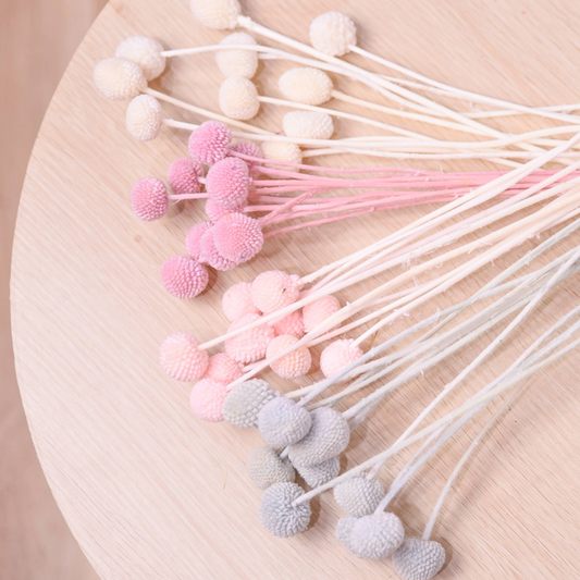preserved billy buttons on a wood table, colors include pink, lilac, blue and white