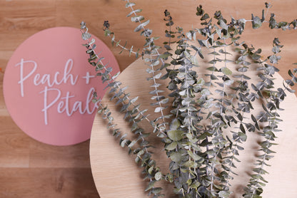 peach and petals sign next to Australian small leaf gum