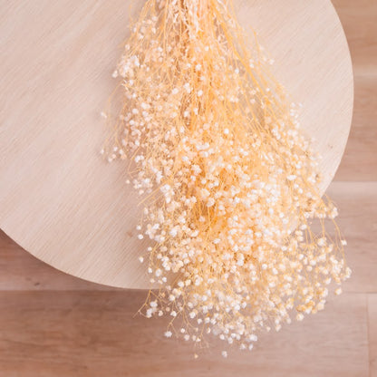 Dried baby breath flowers