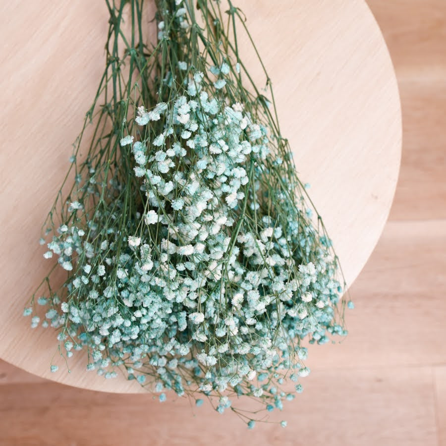 Bunch of preserved babys breath displayed on a light wooden back drop. The babys breath is dyed a soft forest green.