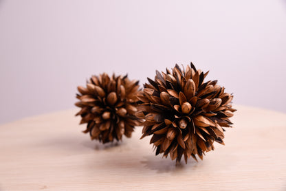 Handmade Magnolia