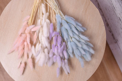 Bunny Tails