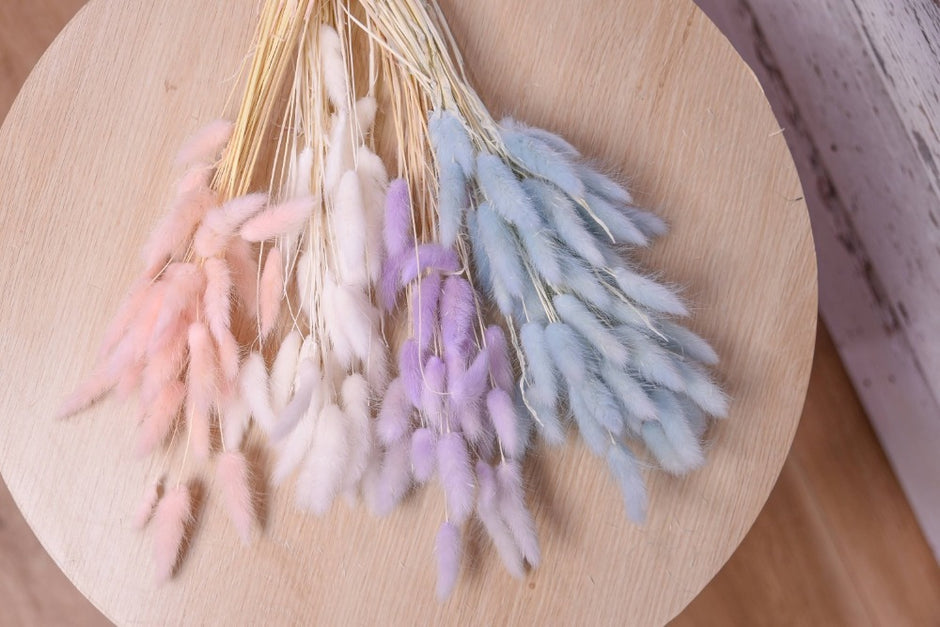 Get Creative with our wide range of Dried Flower Stems Peach and