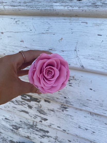 Pink Single Everlasting Rose