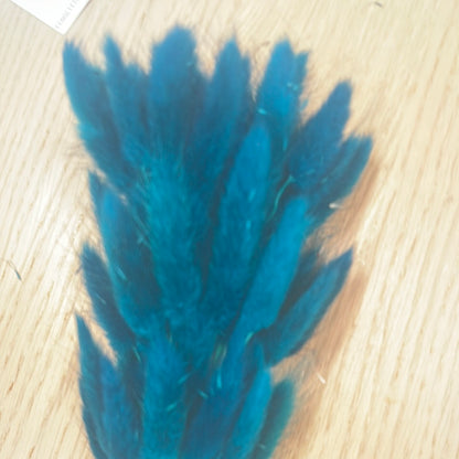 Dried Bunny Tails
