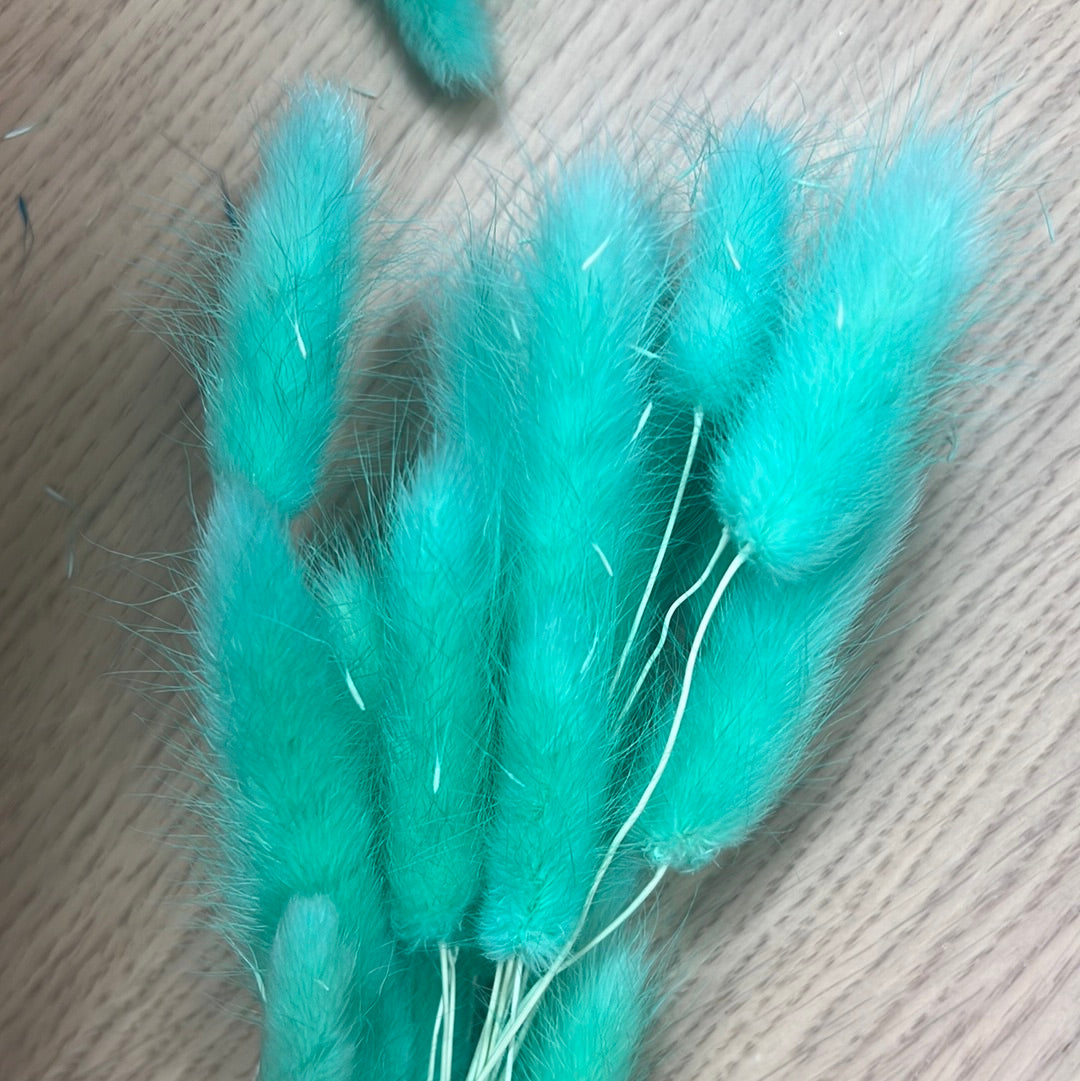 Dried Bunny Tails