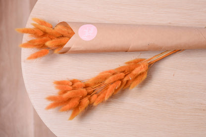 Dried Bunny Tails