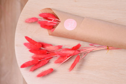 Dried Bunny Tails