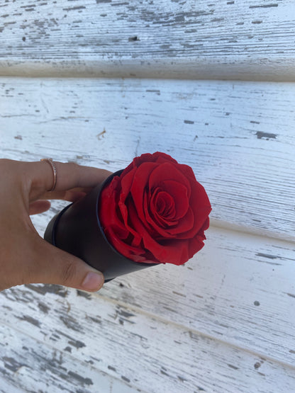 Single Everlasting Red Rose