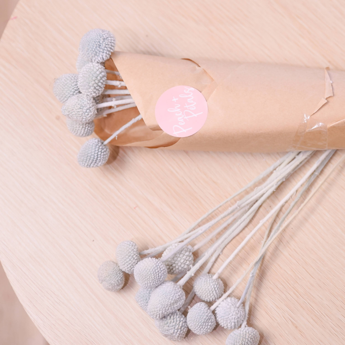 light blue preserved billy buttons on a wood table