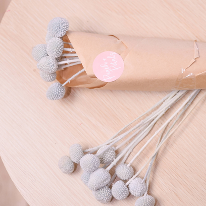 light blue preserved billy buttons on a wood table