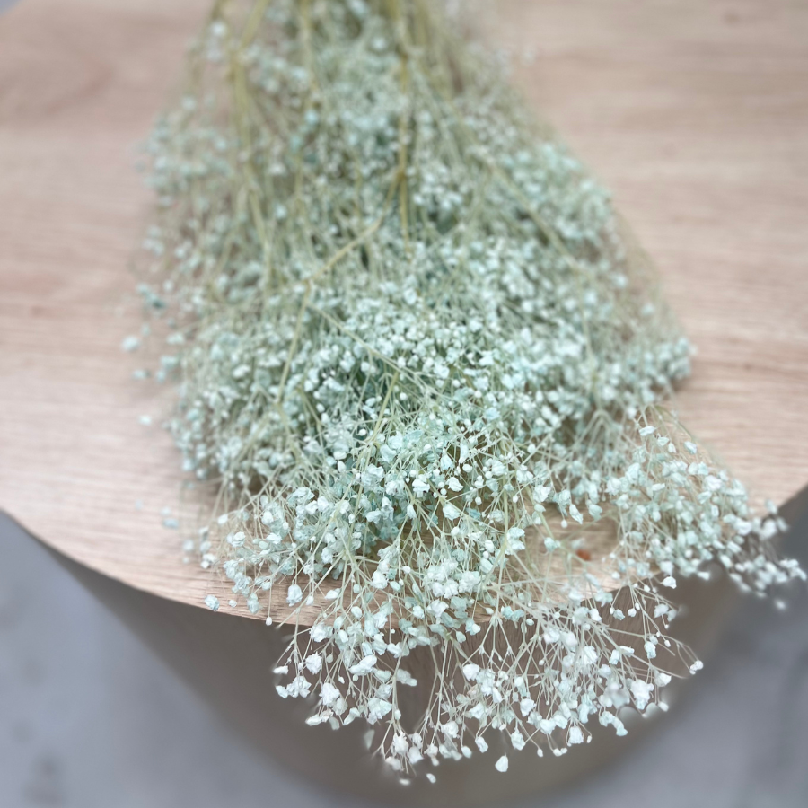 Dried baby breath flowers