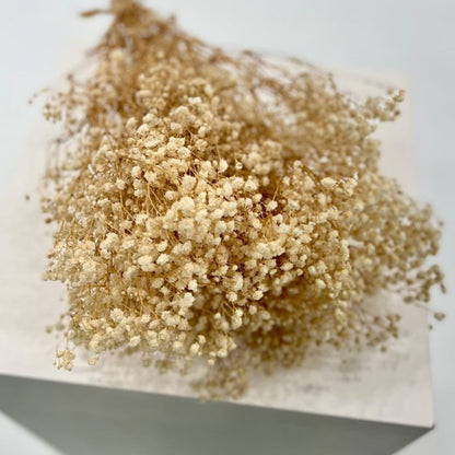 A bunch of Preserved Babys Breath. Natural colour.