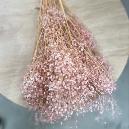 Dried baby breath flowers