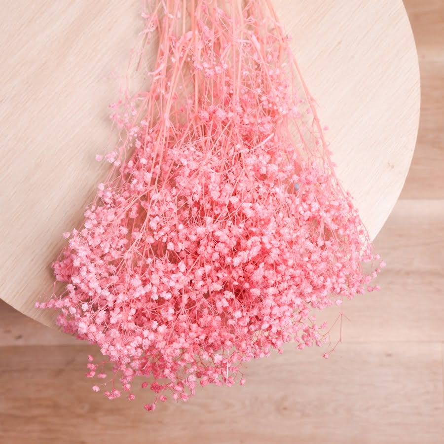 Bunch of preserved babys breath displayed on a light wooden back drop. The babys breath is dyed soft pink