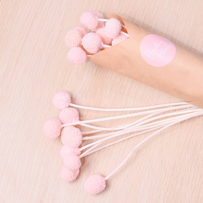 pink-dried-billy-buttons