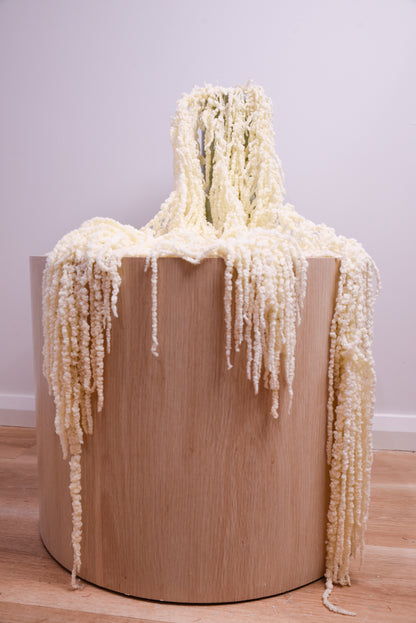 Preserved Amaranthus