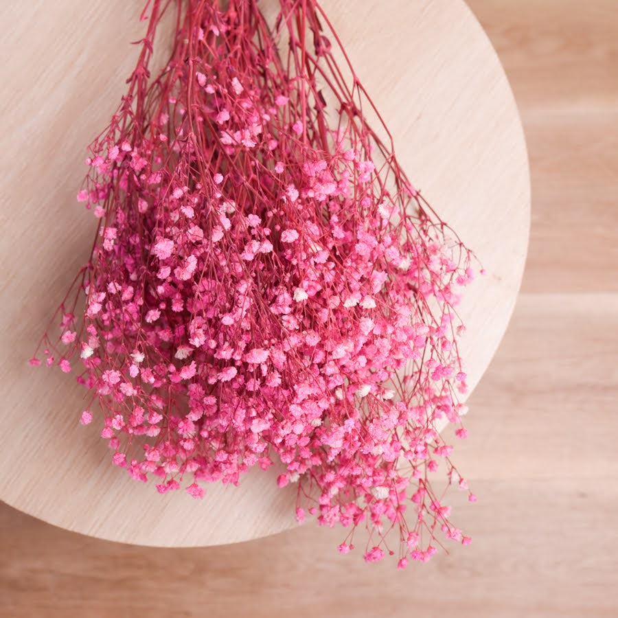Bunch of preserved babys breath displayed on a light wooden back drop. The babys breath is dyed a bright pink colour