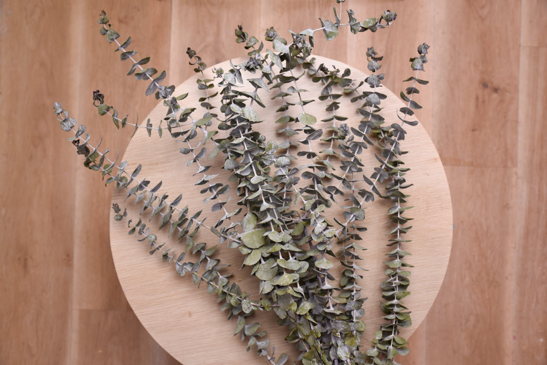 eucalyptus on a wooden stool