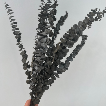 Dried eucalyptus