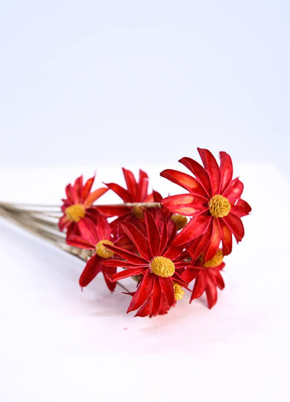 Paper Daisy
